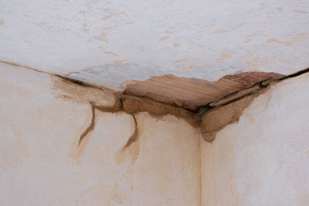 Water damage restoration insurance claims in Shattuck, OK