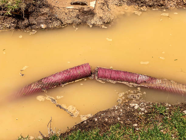 Best Water damage cleanup near me  in Shattuck, OK